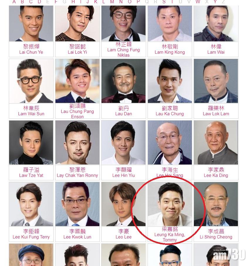 無綫男藝人頁面。