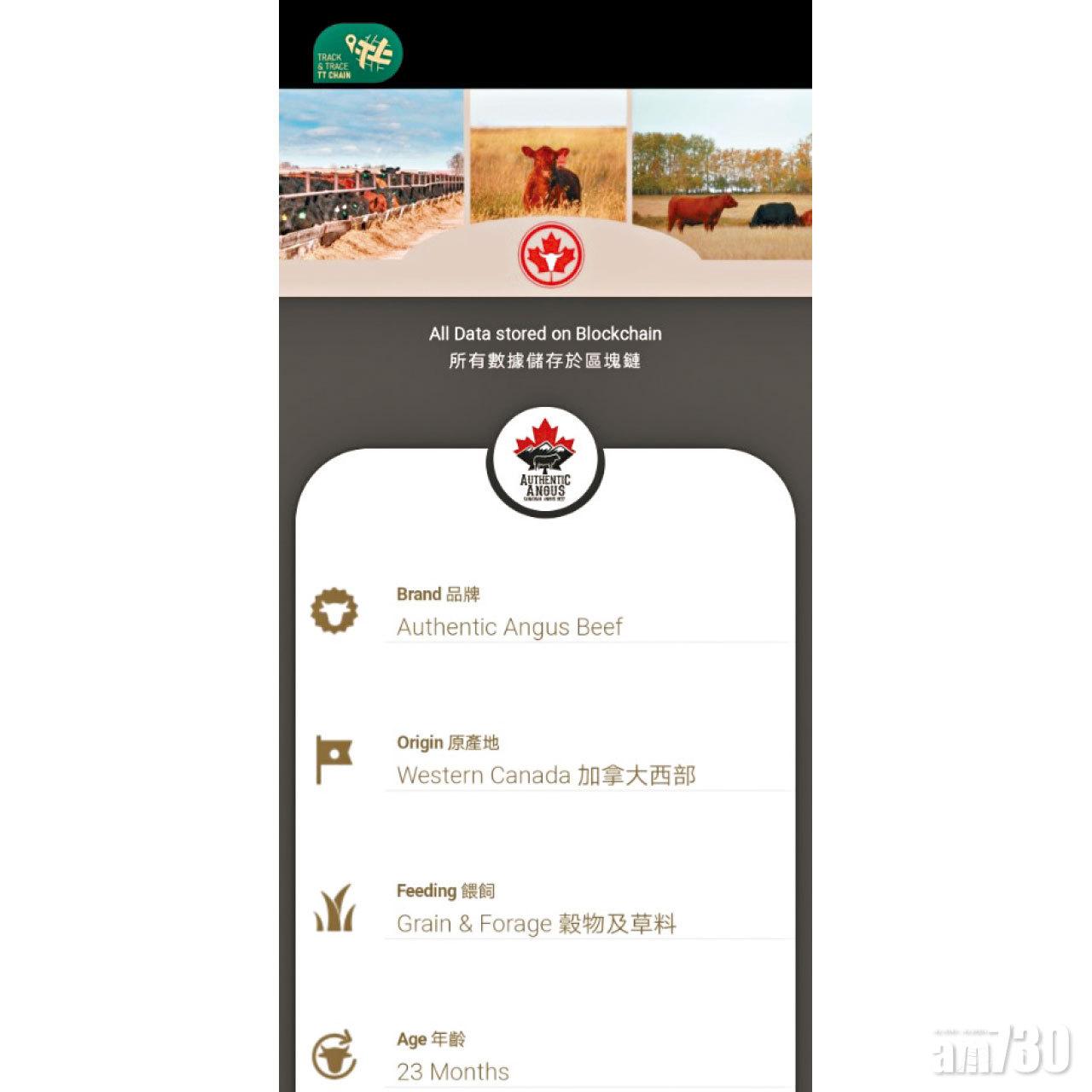 利用TT Chain區塊鏈追蹤平台,牛肉資料一覽無遺。
