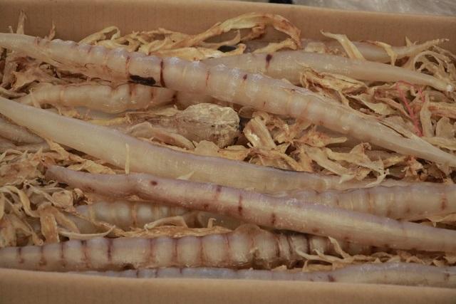 破獲貨品包括受管制瀕危動植物 (莊振邦攝)