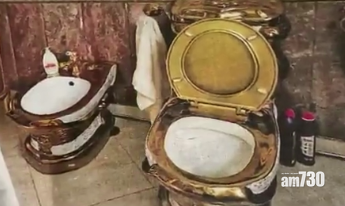 俄羅斯南部地區交通警員從上至下集體貪污,交警首長寓所的金廁所照片在網上瘋傳熱議。(互聯網)