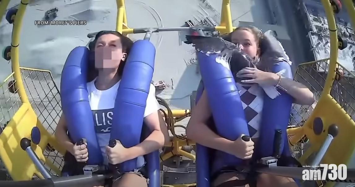 基利快手把海鷗扯開。(互聯網)