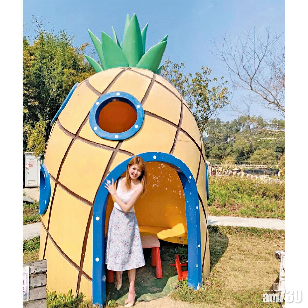 和孩子在菠蘿小屋玩家家酒,如走進卡通世界。