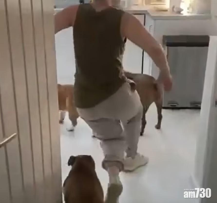 西格爾走進廚房步履不穩,幾乎跌倒。(互聯網)