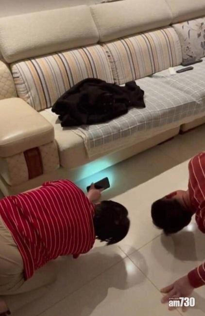 飼主在客廳四處找尋貓咪的蹤跡,甚至以手機電筒照向沙發底找尋。