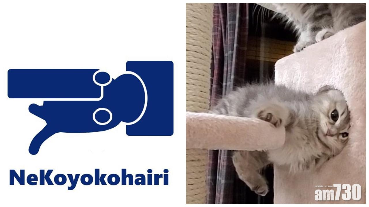 (マリムギ成長日記@Twitter)