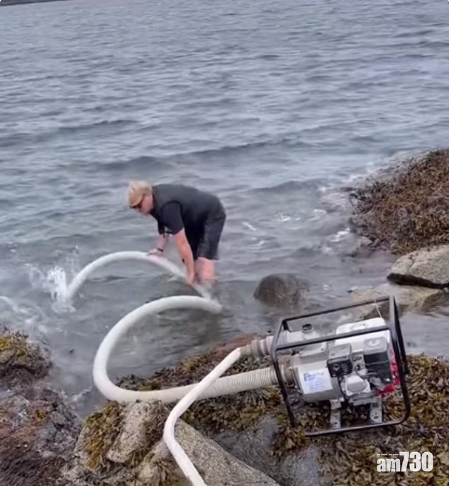 民眾也出動抽水機向殺人鯨射水。(互聯網)