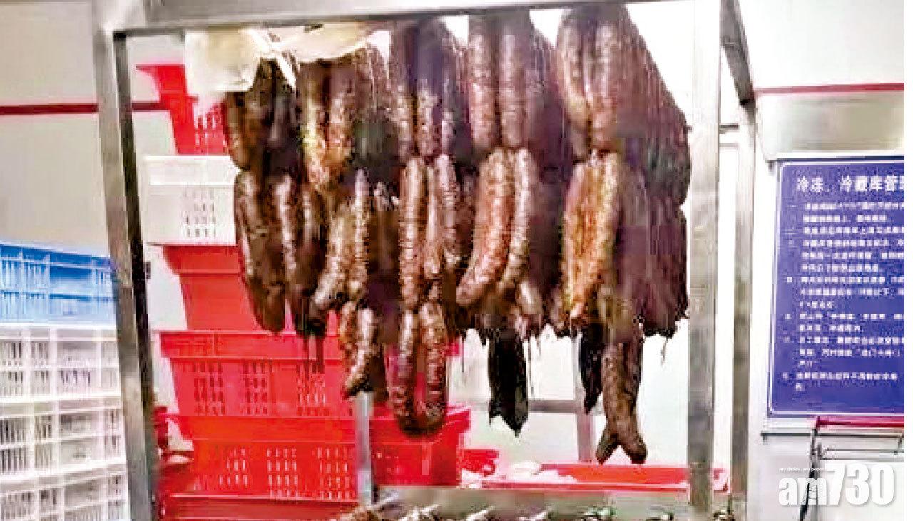 臭肉製成的香腸。