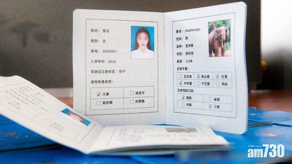 大象駕駛證有大象及駕駛者資料。(互聯網)