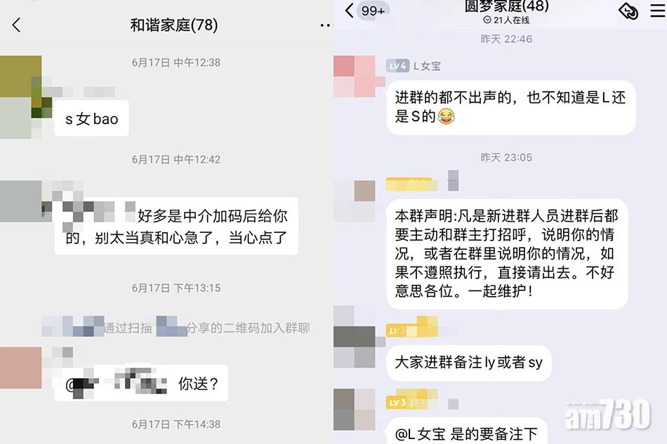 涉案公司群組以「LY」及「SY」取代「領養」和「送養」。(互聯網)