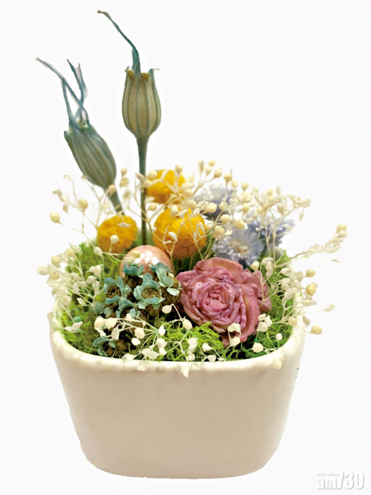 兩生花保鮮花盆栽($65)。