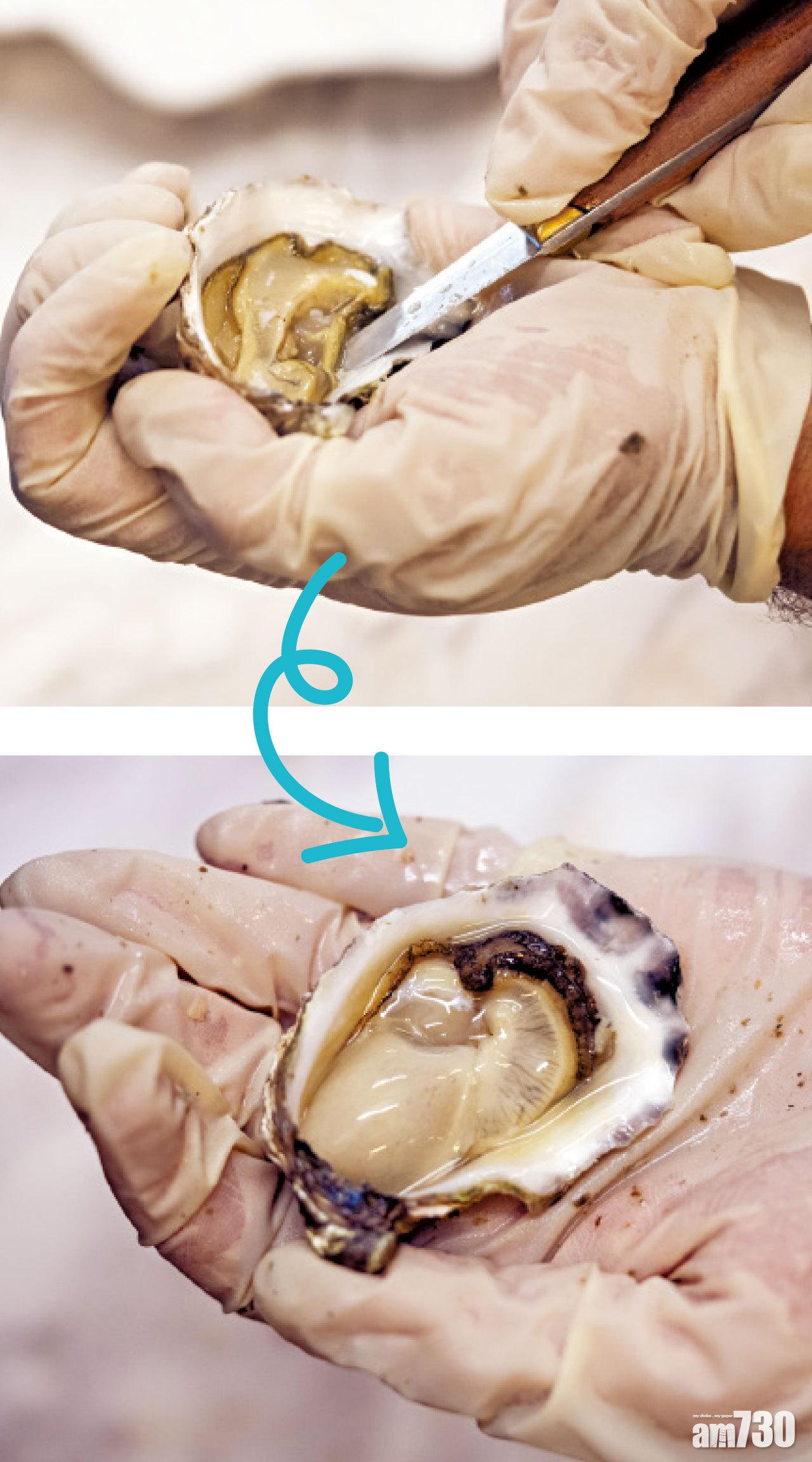 以刀尖劏開連著蠔殼底部的帶子位,挑起蠔肉反轉,即可呈現出如白滑珍珠的肥美鮮蠔。