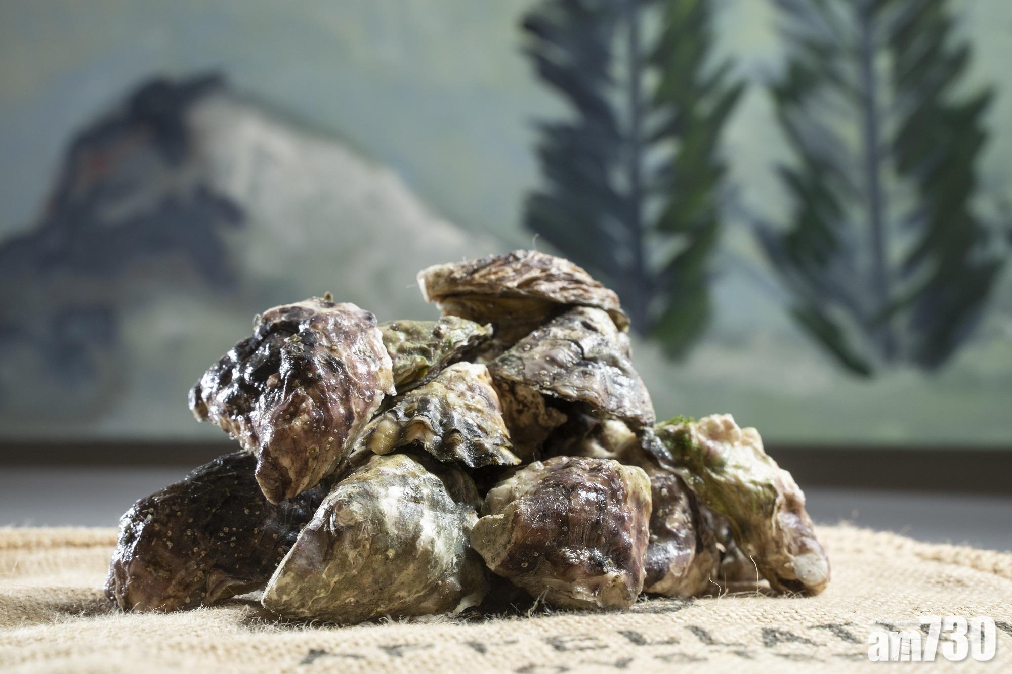 【冷知識】
石蠔由運輸過程至儲存會墊於麻布袋上,可模擬其生長環境,令牠們保持在最鮮活狀態。