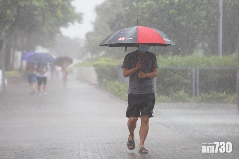 天文台發出特別天氣提示,指本港持續有雷雨發展,預料未來兩三小時局部地區雨勢頗大。(資料圖片)