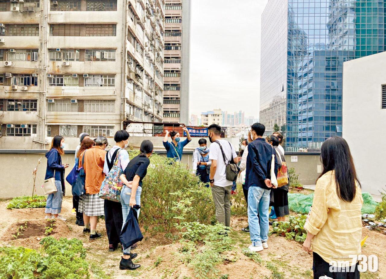 CHAT六廠與種子隊成員觀察南豐紗廠耕地的藍染植物。
