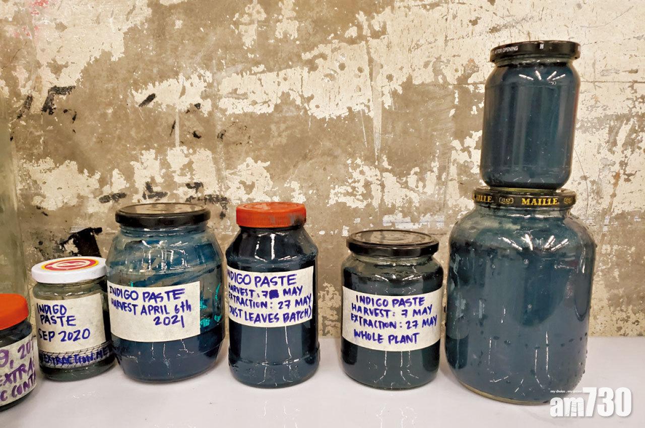 去年9月至今年5月期間屢次試驗所得的靛泥。