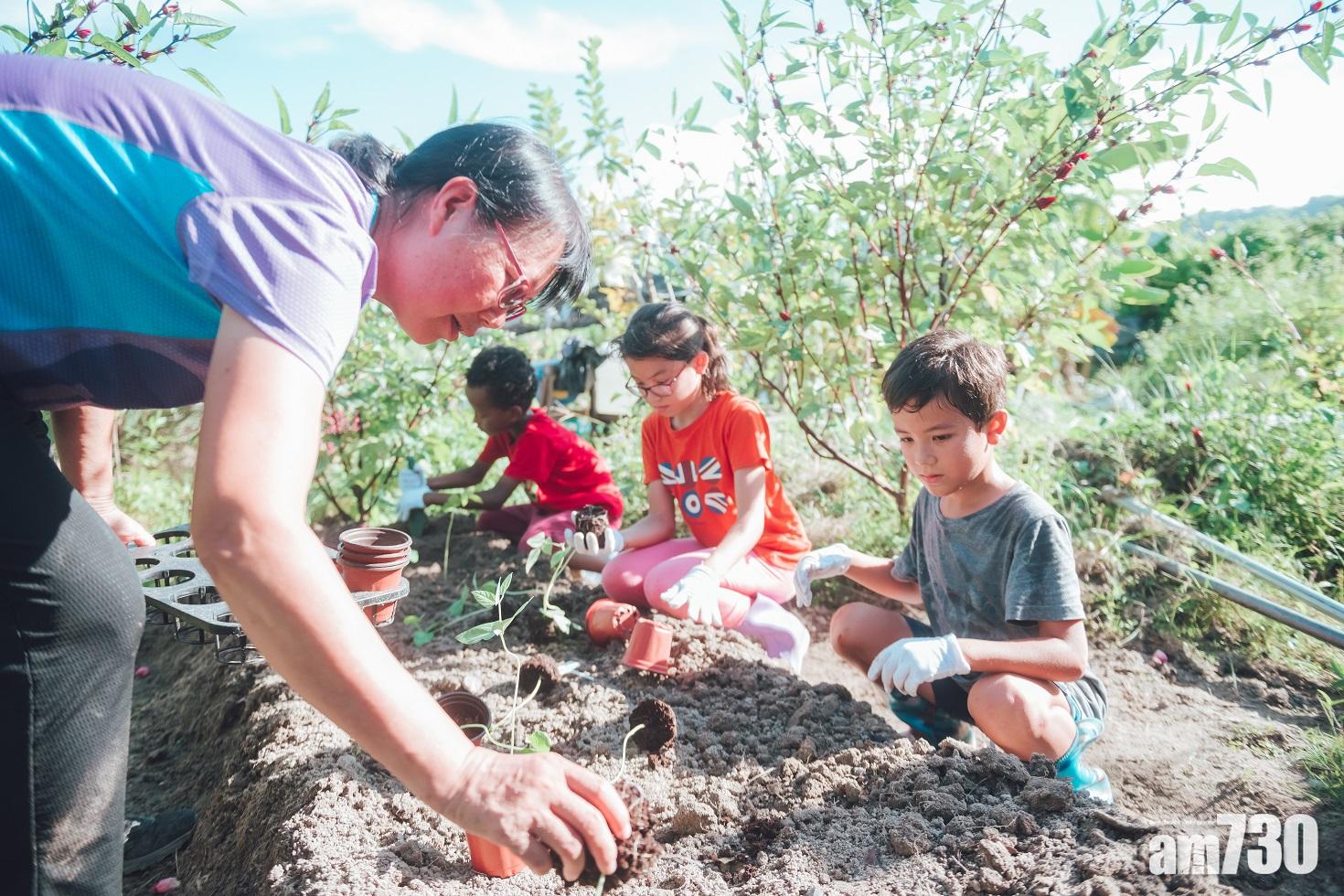 「Winnie The Farm」創辦人及城市農夫江鳳儀帶領客人體驗季節性務農。
