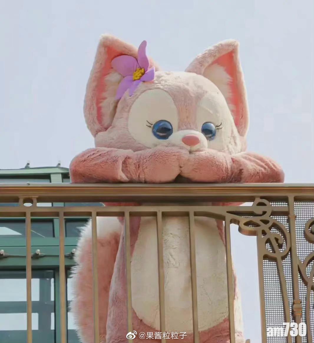 粉色小狐狸超受歡迎!