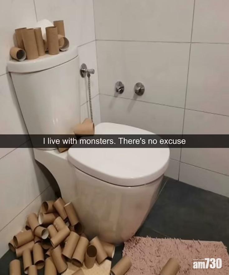 大堆廁紙筒留在馬桶旁,難怪網民鬧同住人係「怪獸」。(互聯網)