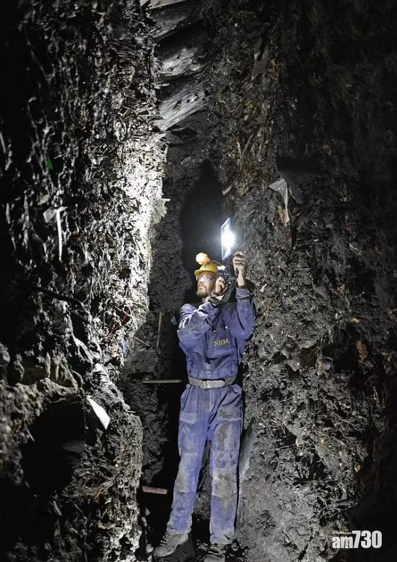 樣本在鹽礦發現。(互聯網)