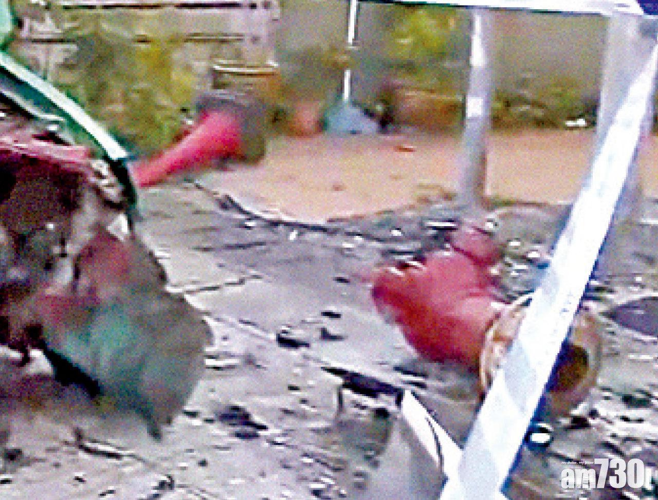 消防栓被撞毀。