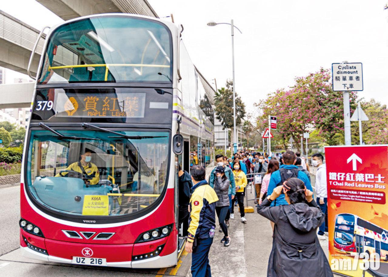 賞紅葉專車大排長龍。(莊振邦攝)