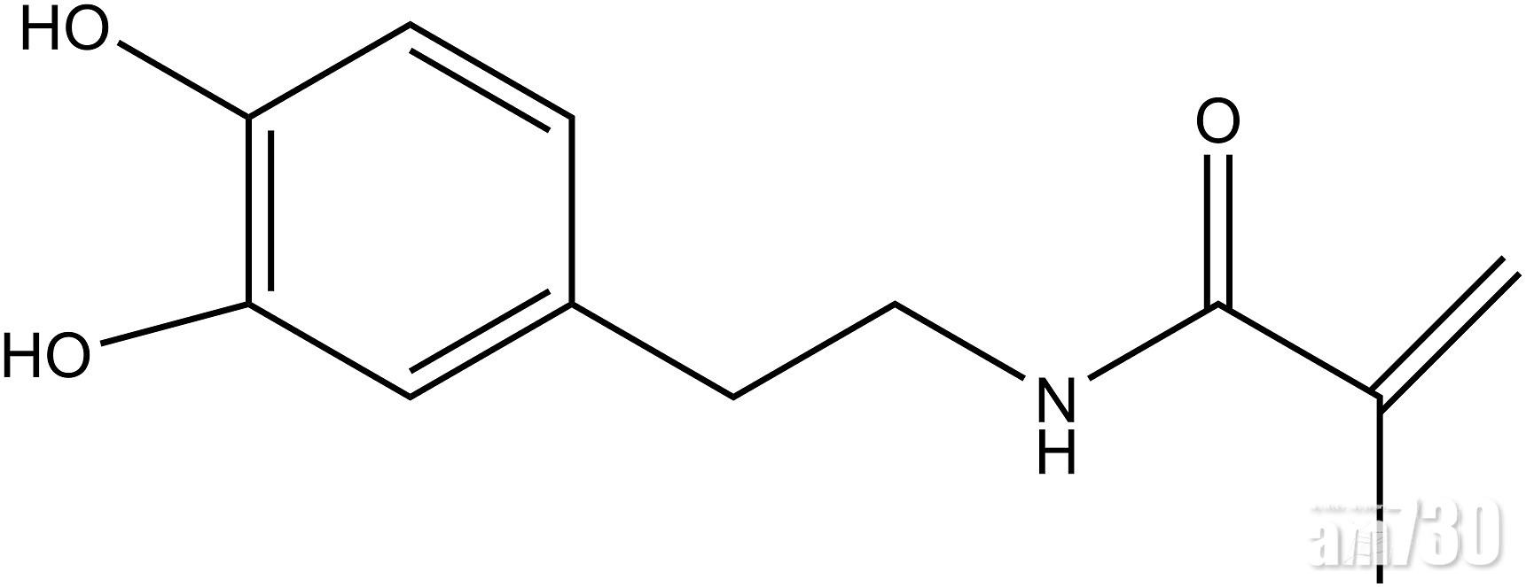 DMA的化學結構。