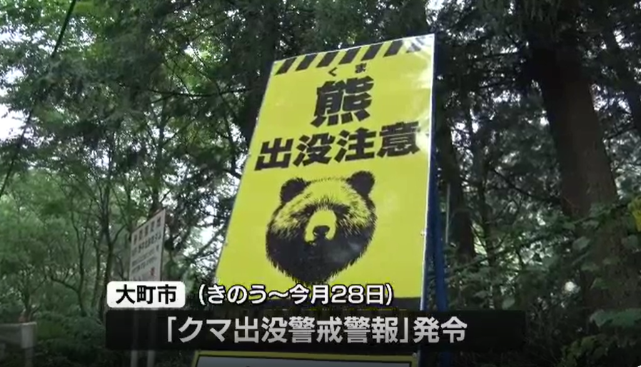 日本大町市頻傳熊出沒 2男入山採竹筍遇襲1死1傷