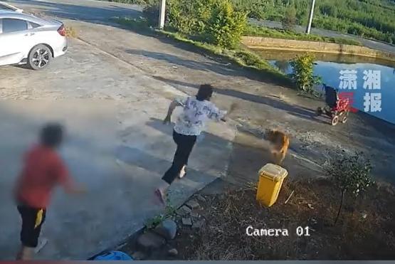 廣東婦分心聊天BB車滑入魚塘 急搶救卻一同跌落水