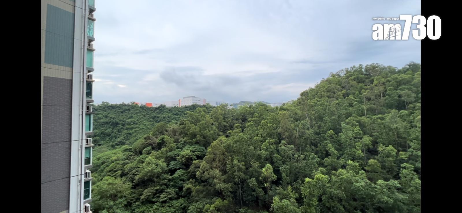 將軍澳私樓呎價失守1萬水平!三房低銀行估價一成易手