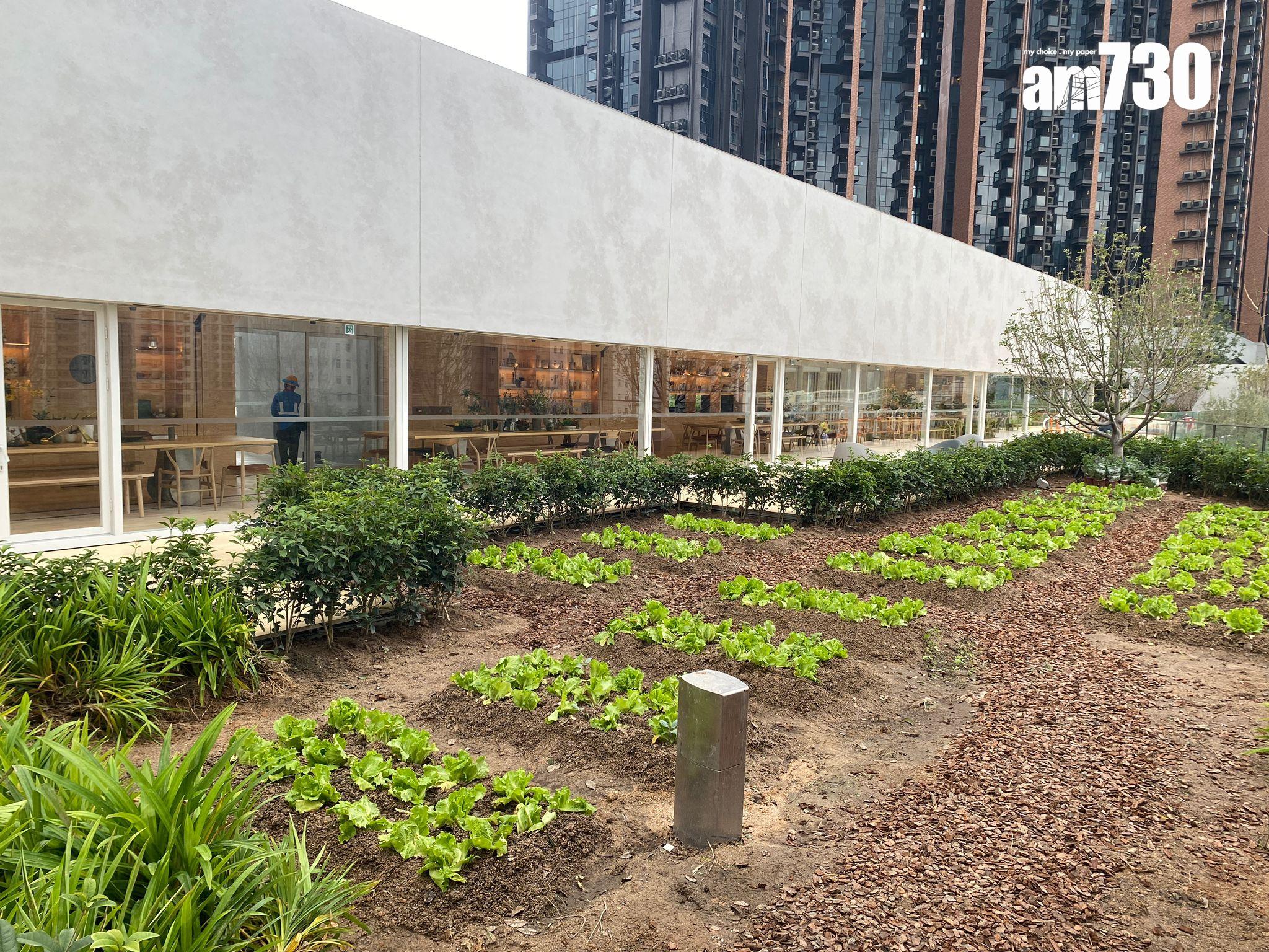 柏傲莊I獲批滿意紙 市傳管理費約4.5元 28萬方呎園林及會所曝光!