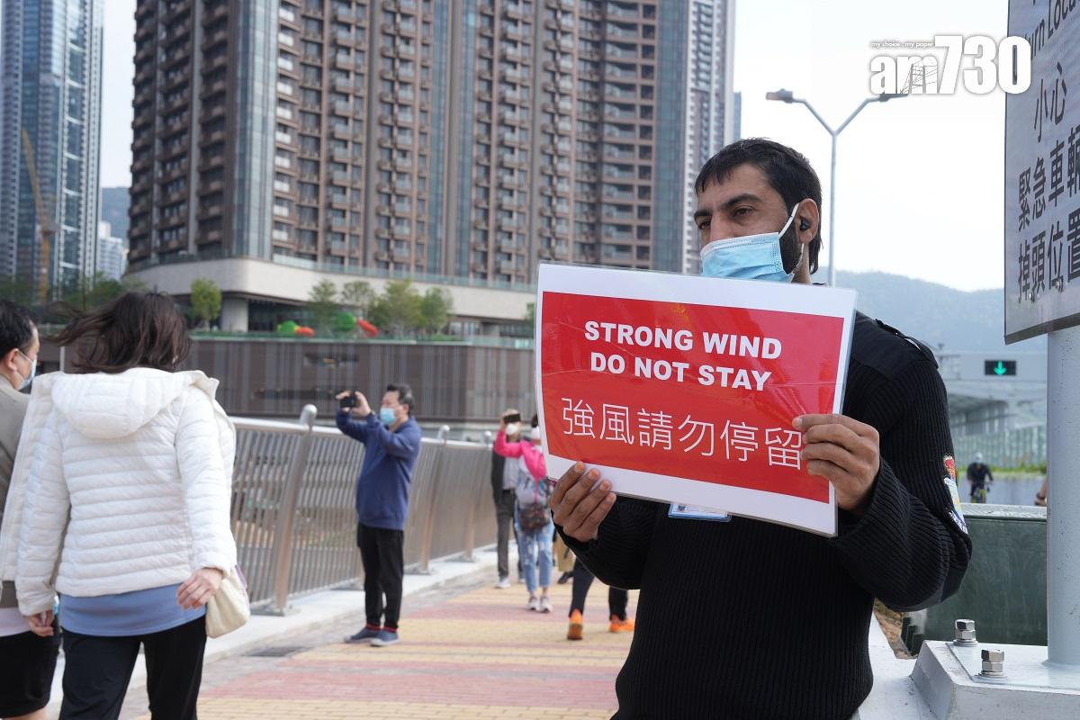 將藍隧道和將軍澳跨灣連接路12月11日通車,不少市民趁首日參觀大橋。(陳奕釗攝)