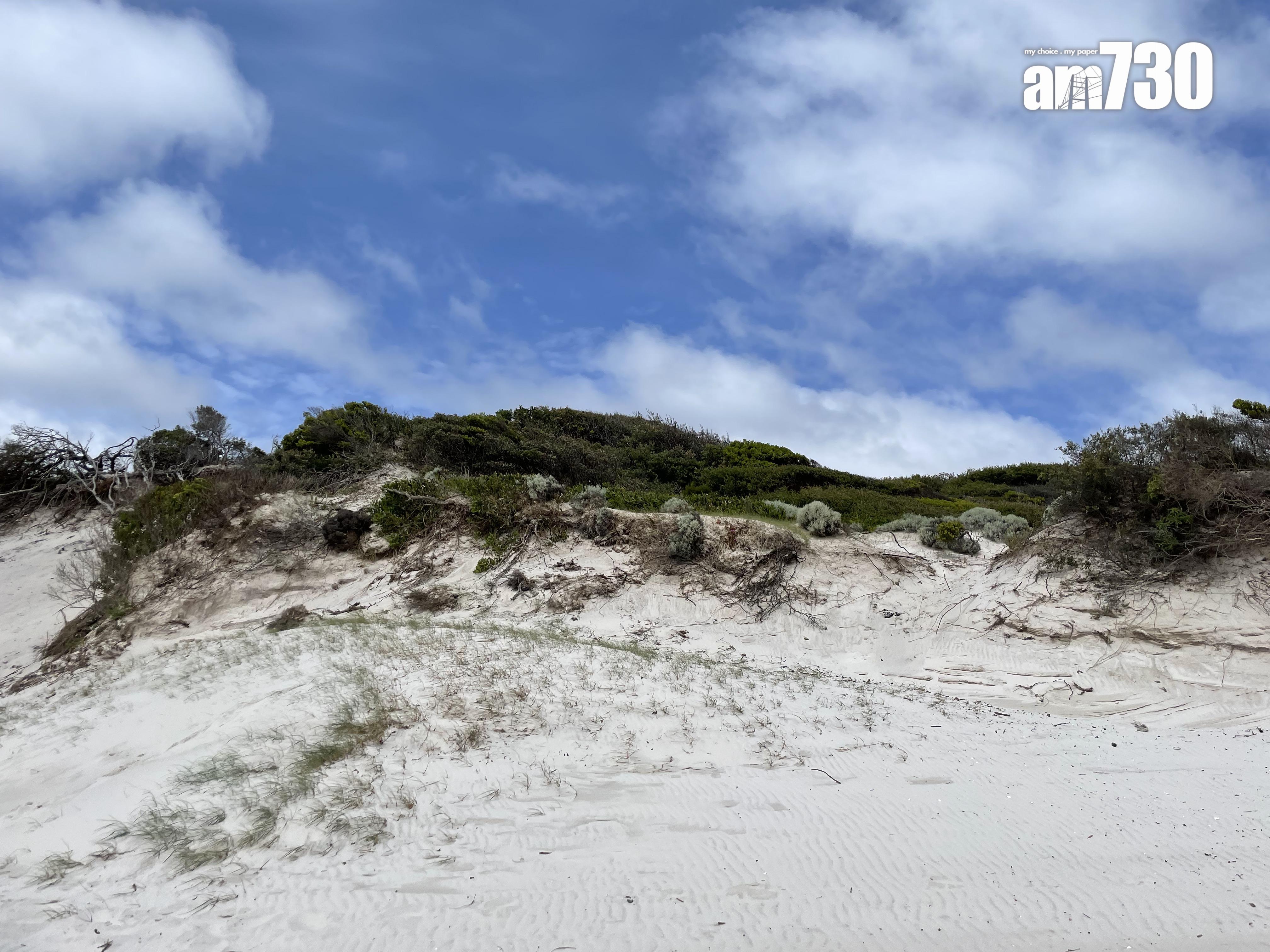 Squeaky Beach為白色石英沙,沙粒呈白色,非常幼細。(劉韻瑩攝)