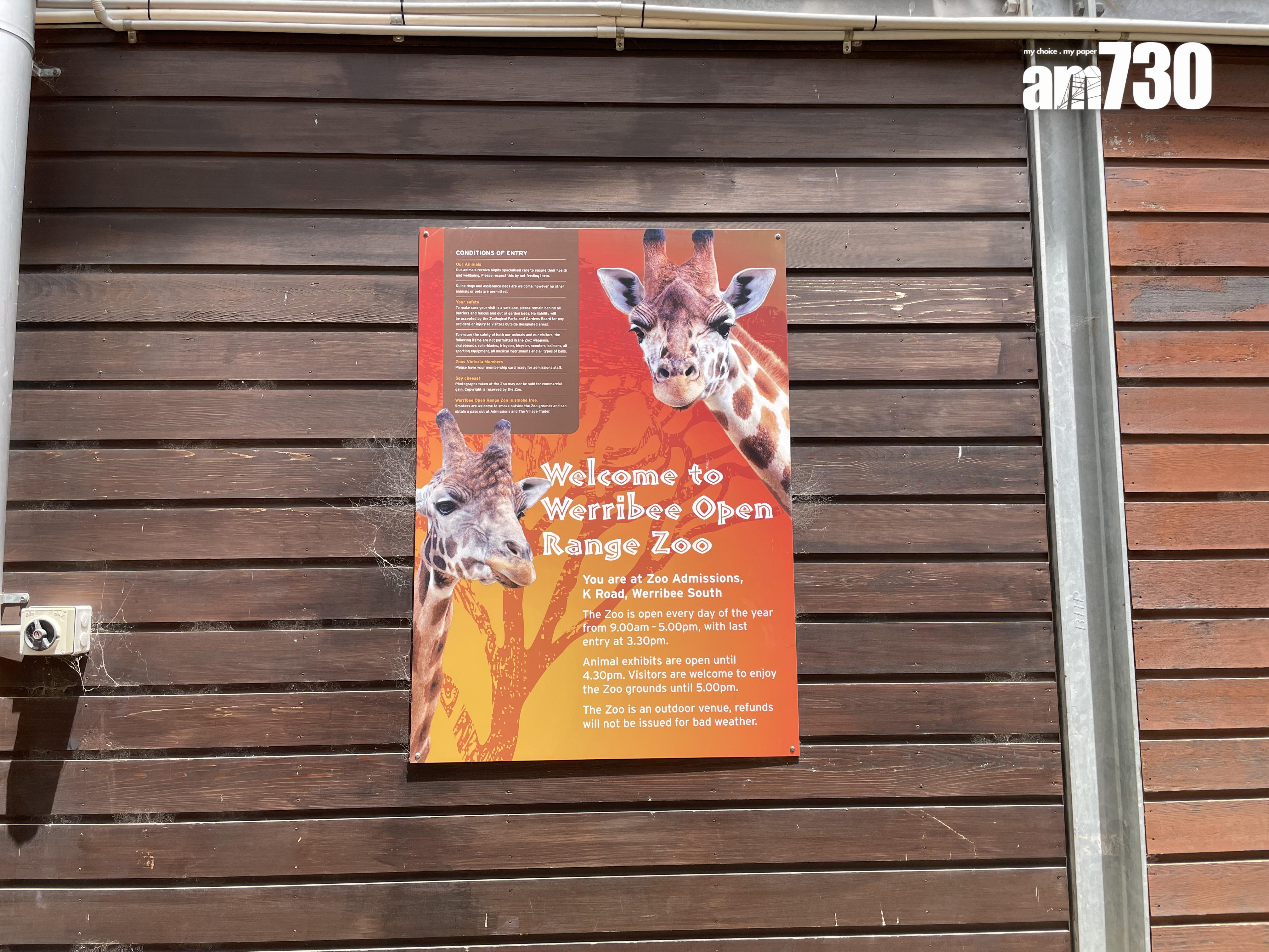 威勒比開放動物園大致分為3部分,可以一次過看到澳洲及非洲動物。