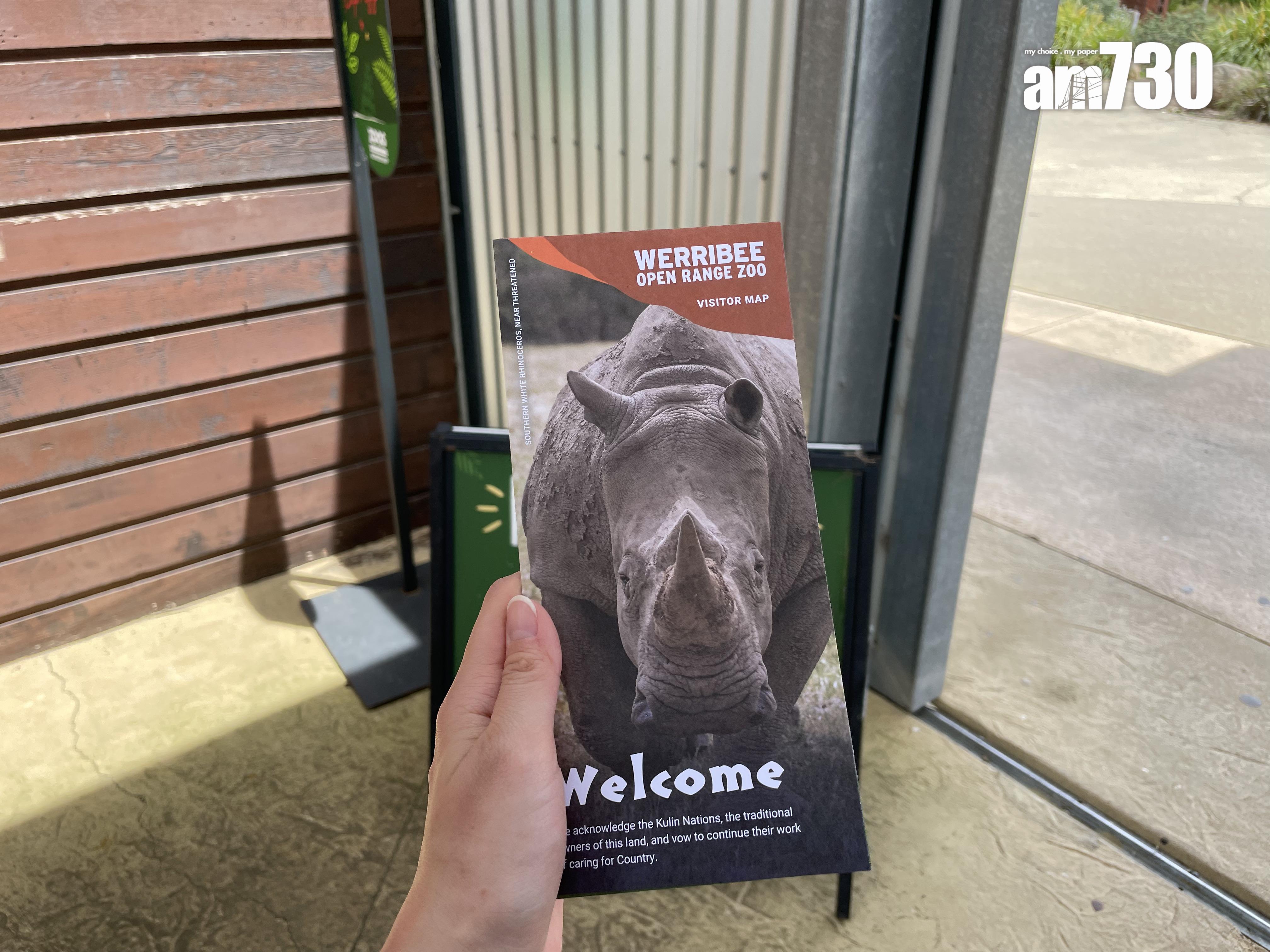 威勒比開放動物園大致分為3部分,可以一次過看到澳洲及非洲動物。