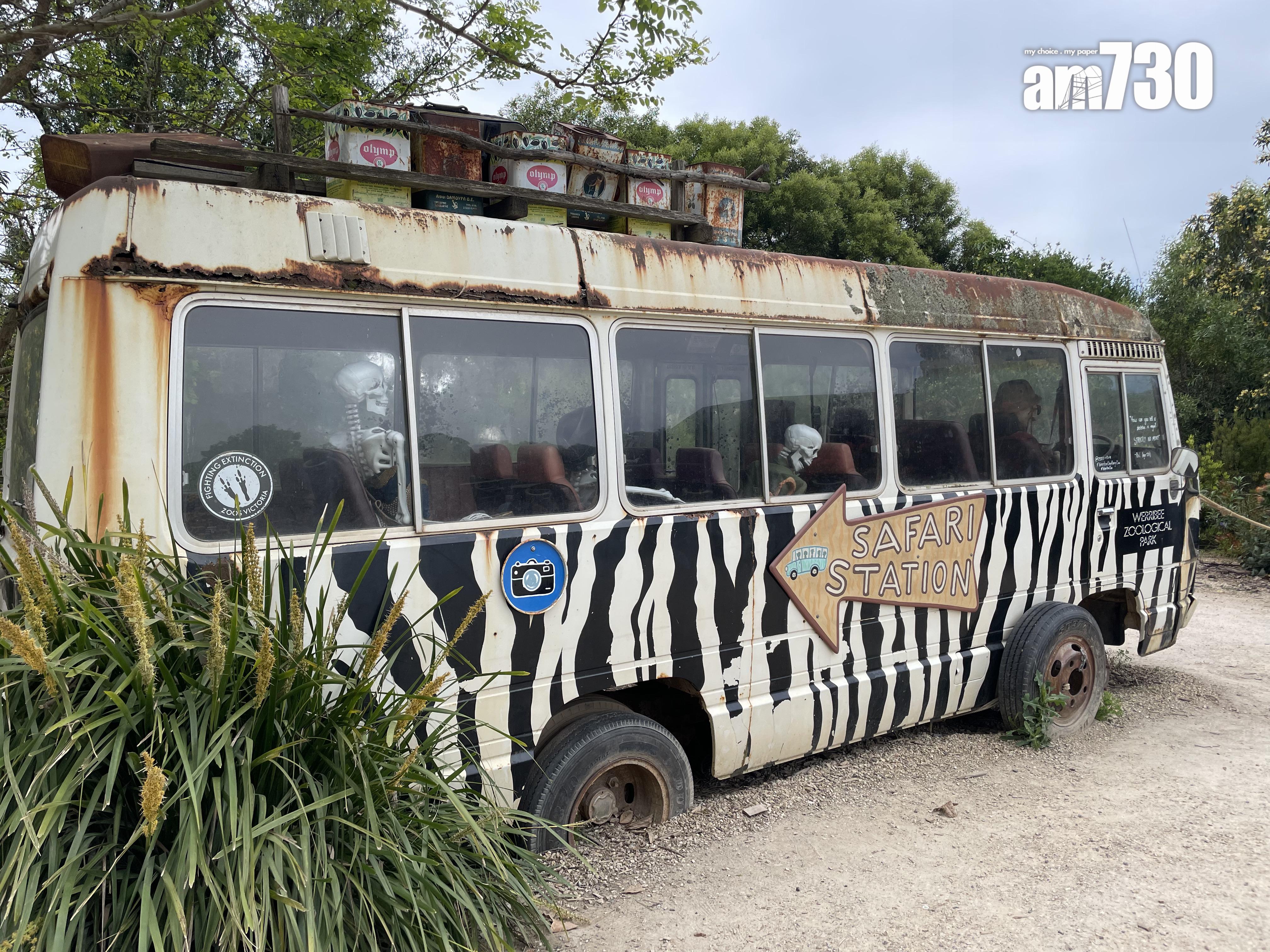 登上觀光車就可以起程睇動物!