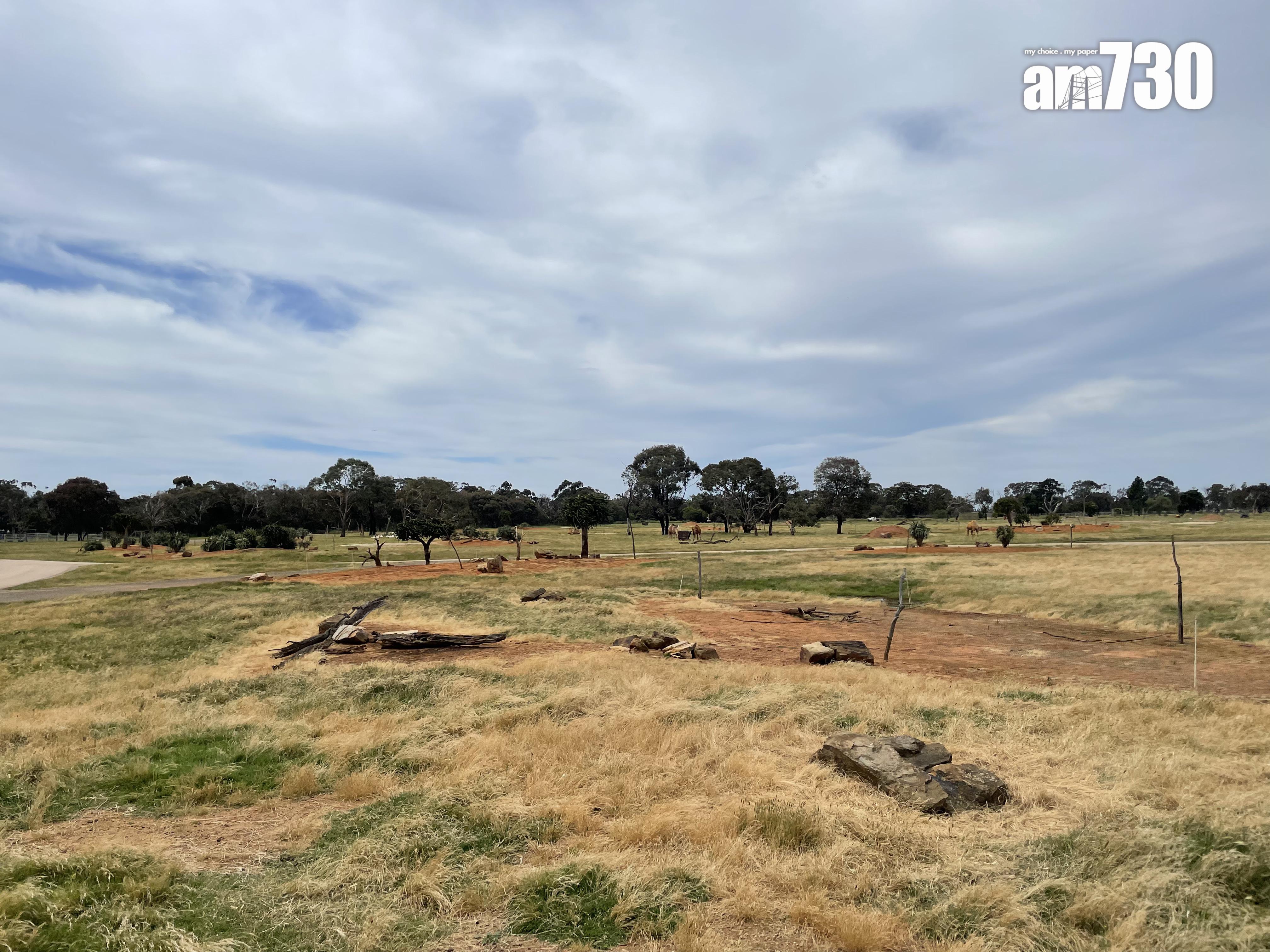 猶如置身於非洲大草原!