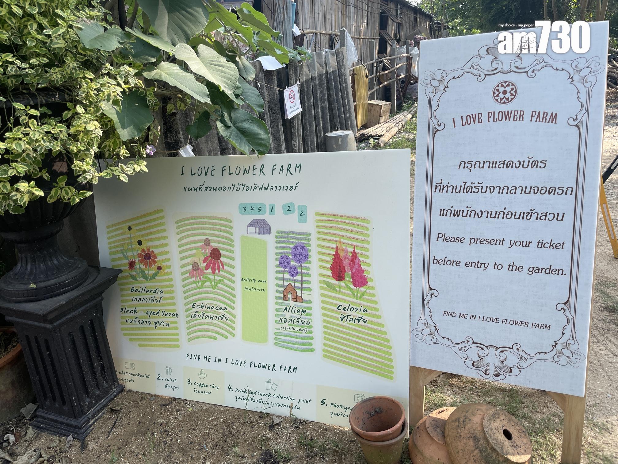 今年花田的主題為「Find me in I love flower farm」。(劉韻瑩攝)