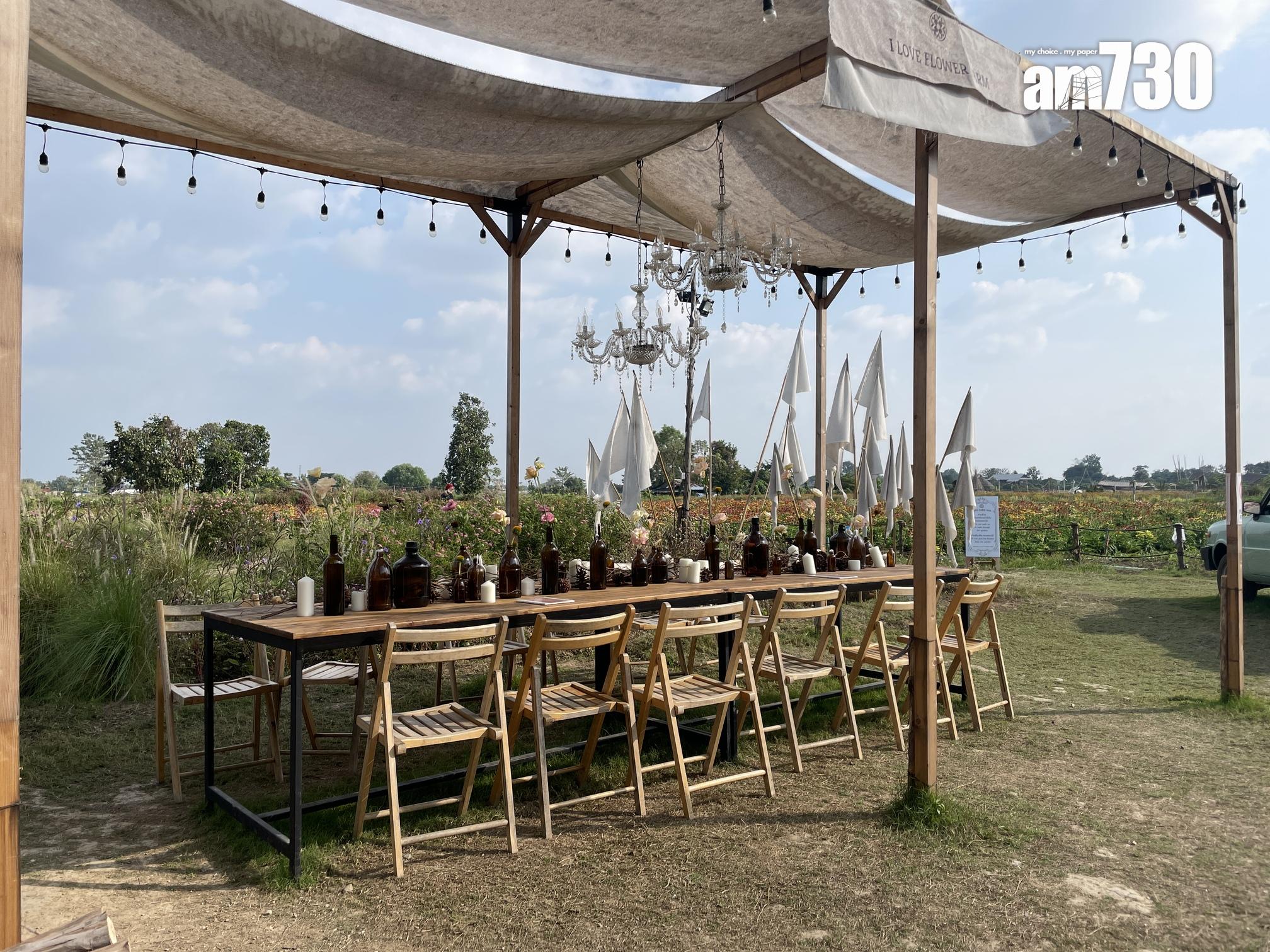 森系大長枱 (劉韻瑩攝)