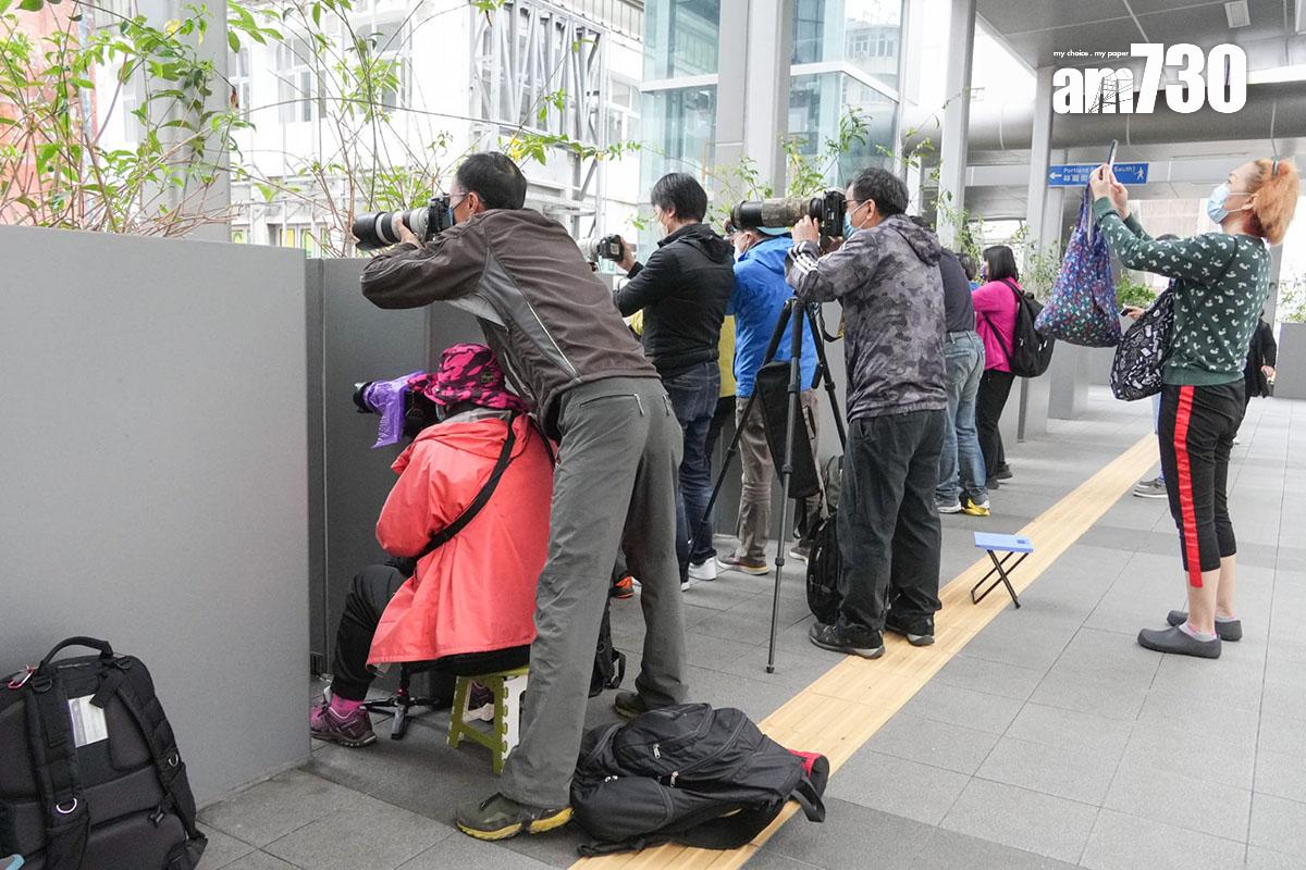 渣打馬拉松2月12日舉行,在旺角有不少人拍下賽事精彩一幕。(李睿哲攝)