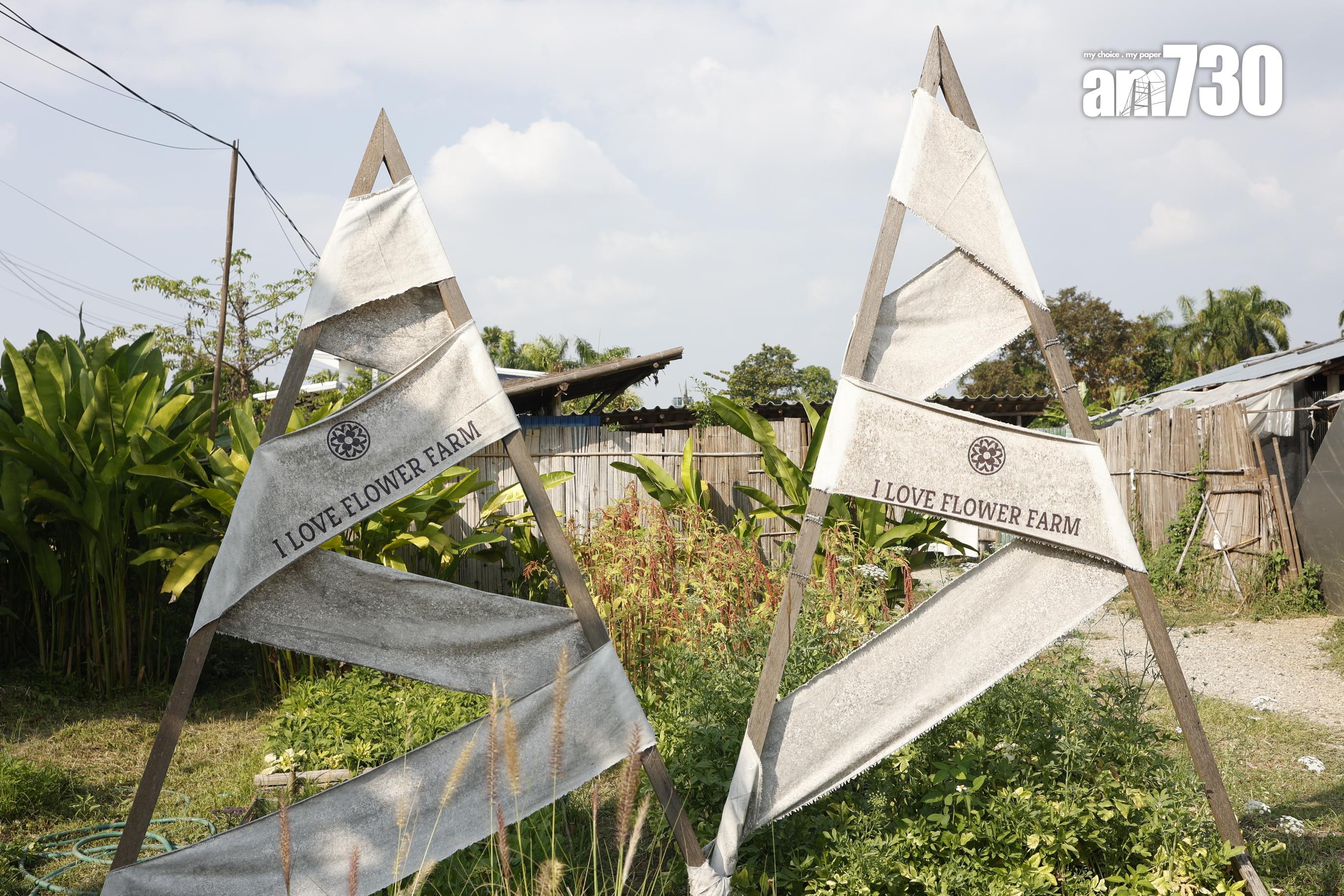 I Love Flower Farm於2019年開幕,佔地近28萬呎。(劉韻瑩攝)