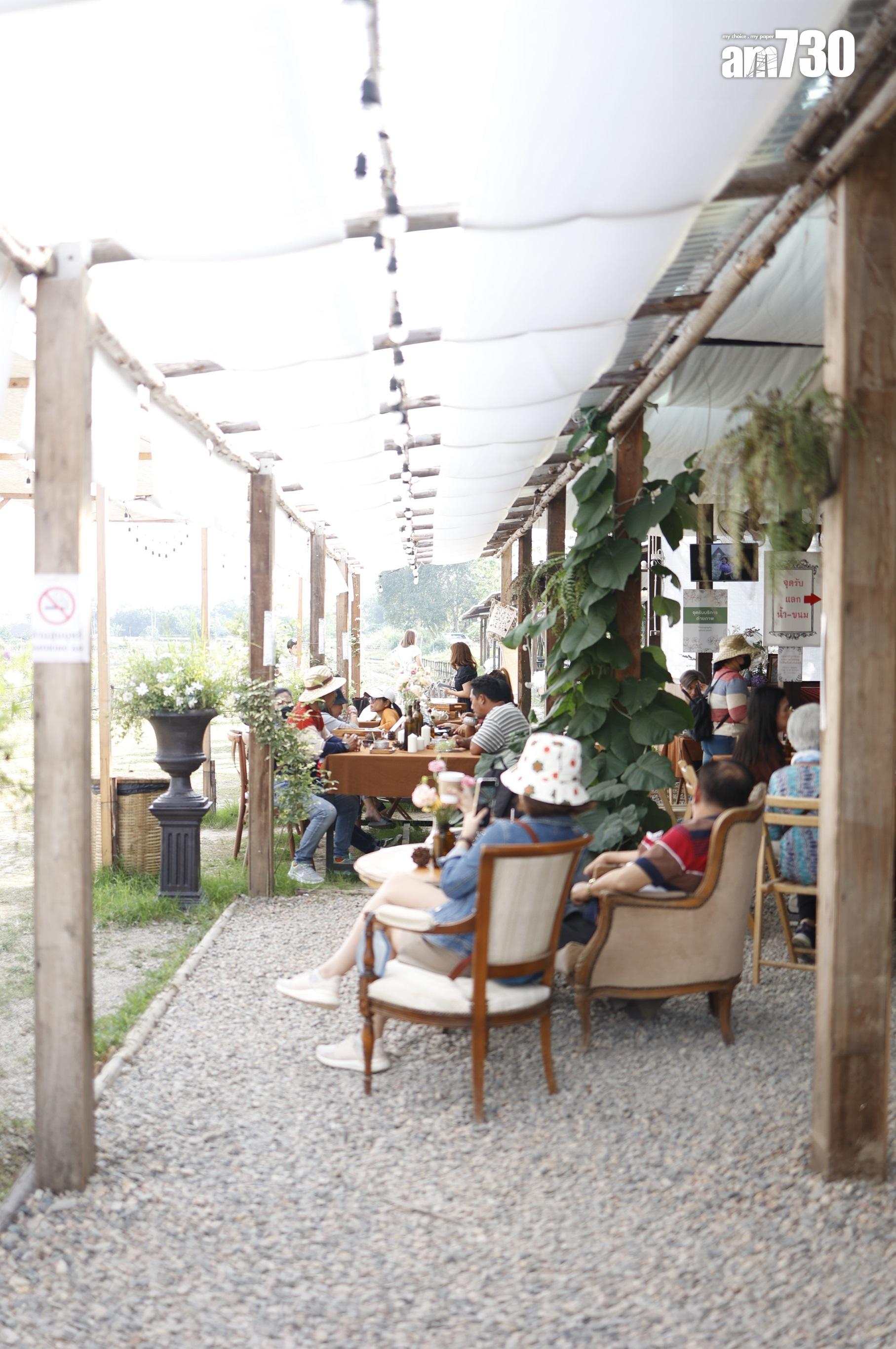 農莊內亦設有Cafe,大家盡情打卡後可以休息。(劉韻瑩攝)