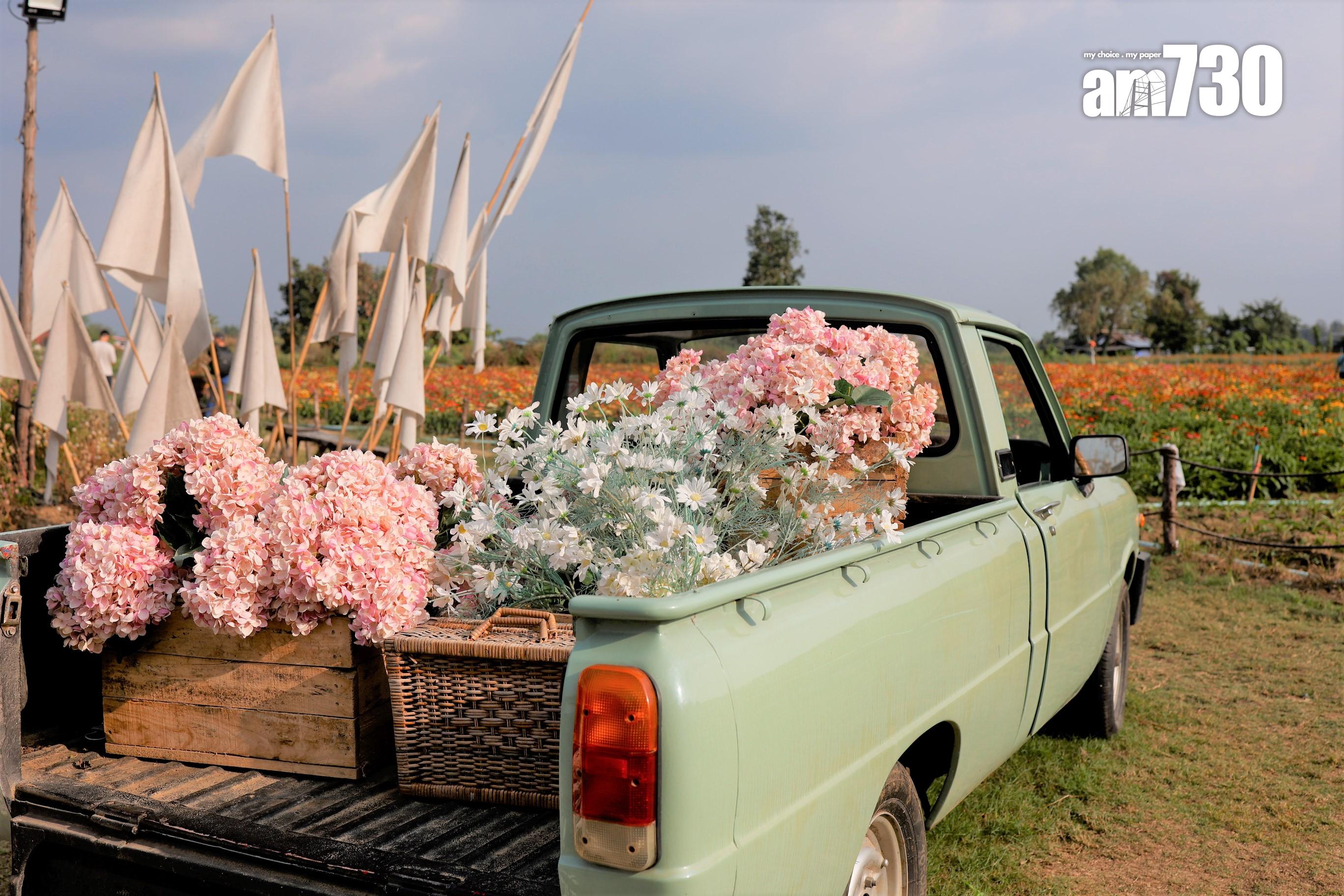 古董車同樣去必影打卡點。(劉韻瑩攝)