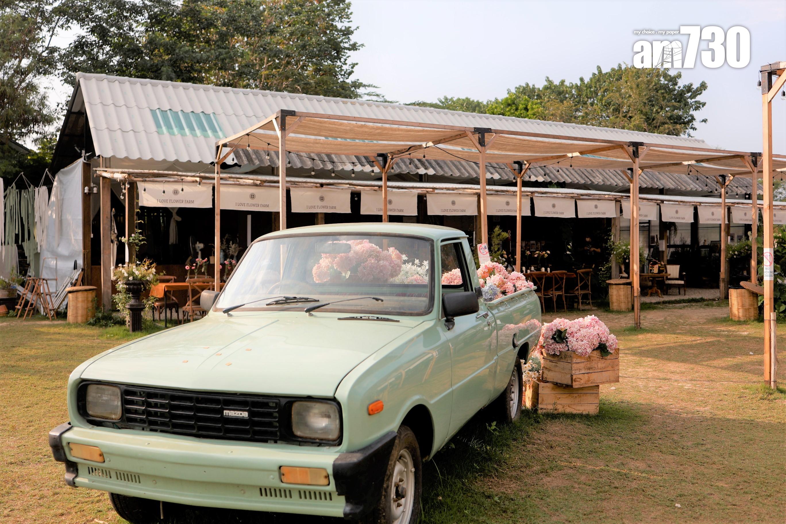 古董車同樣去必影打卡點。(劉韻瑩攝)