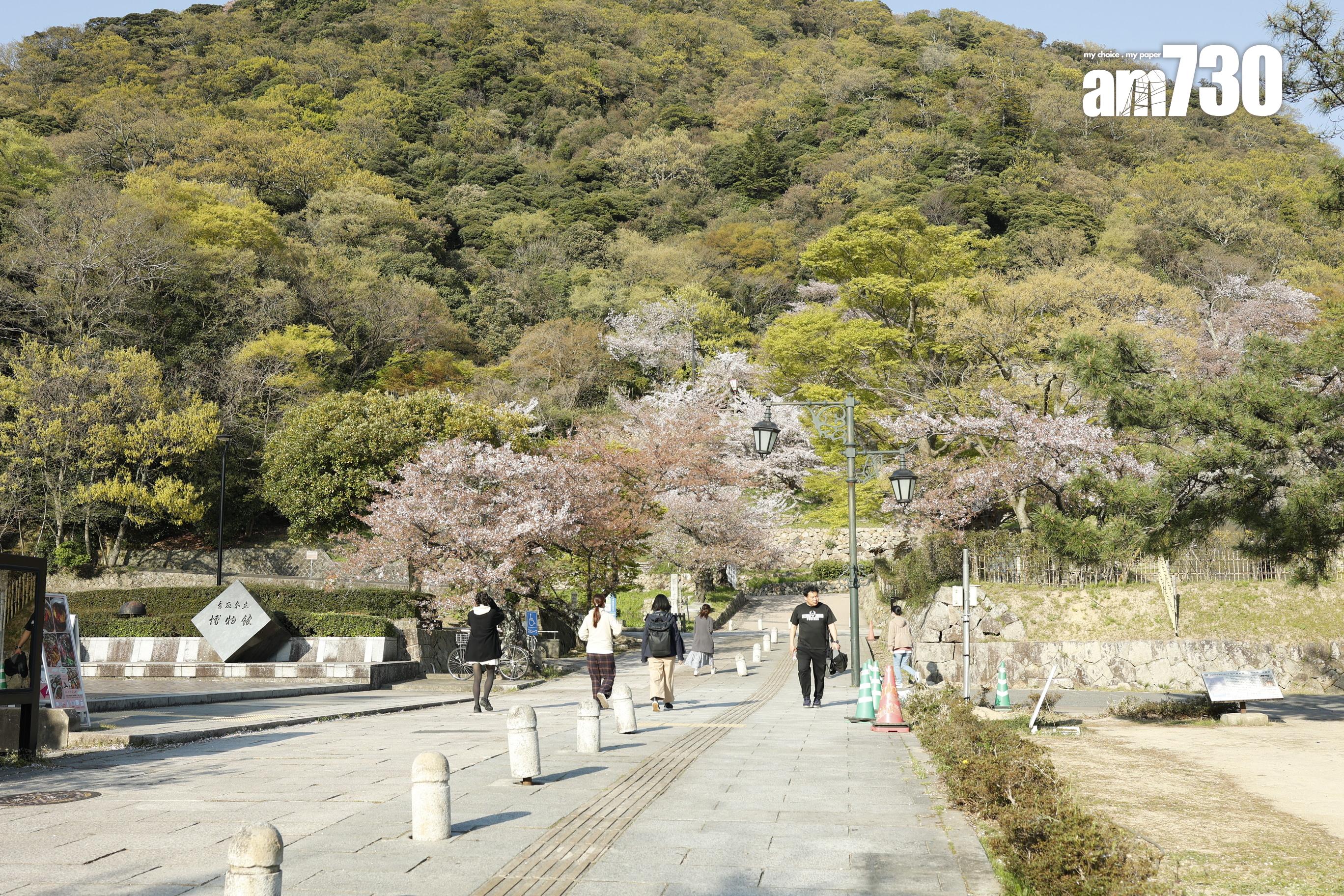 久松公園被列為「日本櫻花名所百選」之一。