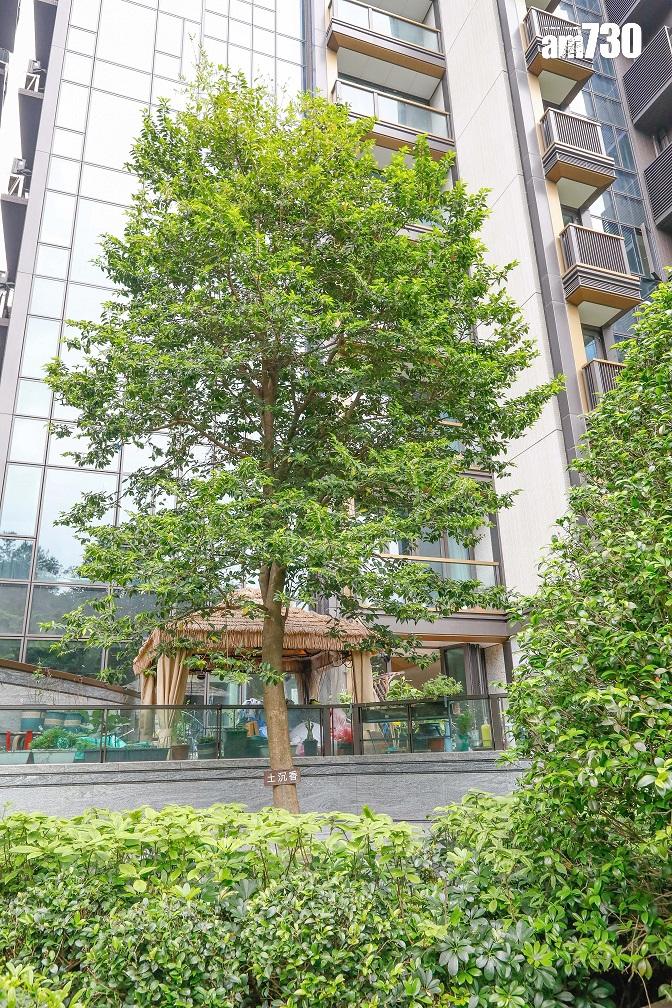 沙田新盤|多圖!瓏珀山會所連園林佔地5萬方呎 戶外遊樂場有特色