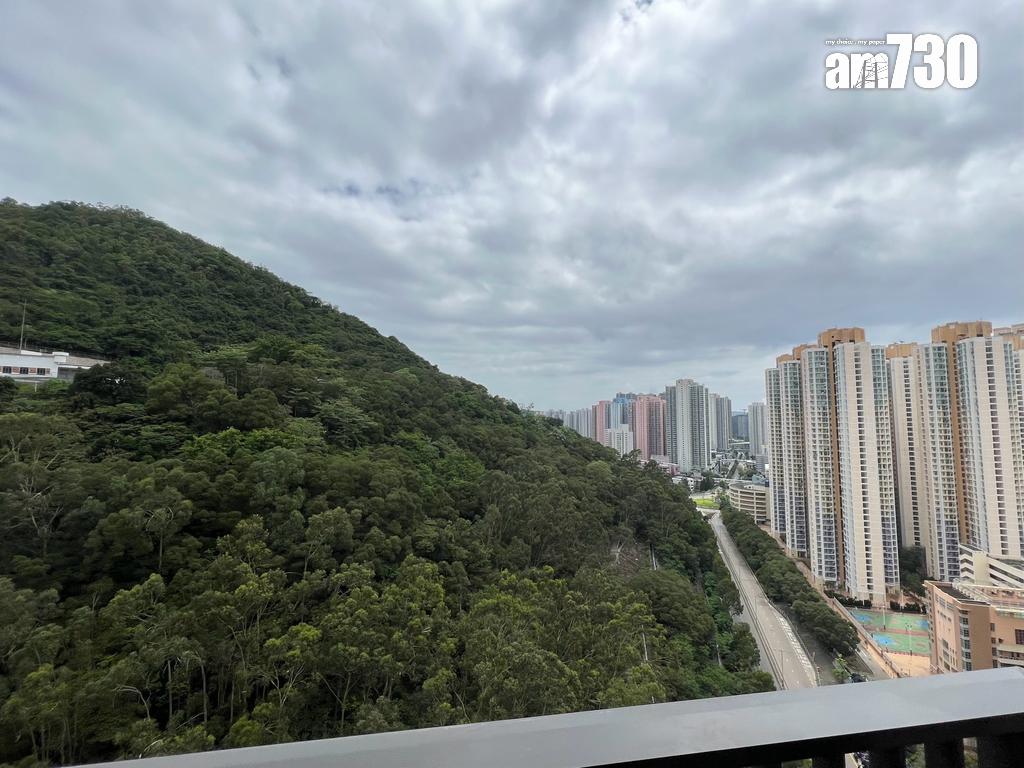 單位直擊|居屋升值勝私樓?將軍澳翠嶺峰高層戶5年帳賺164萬轉手