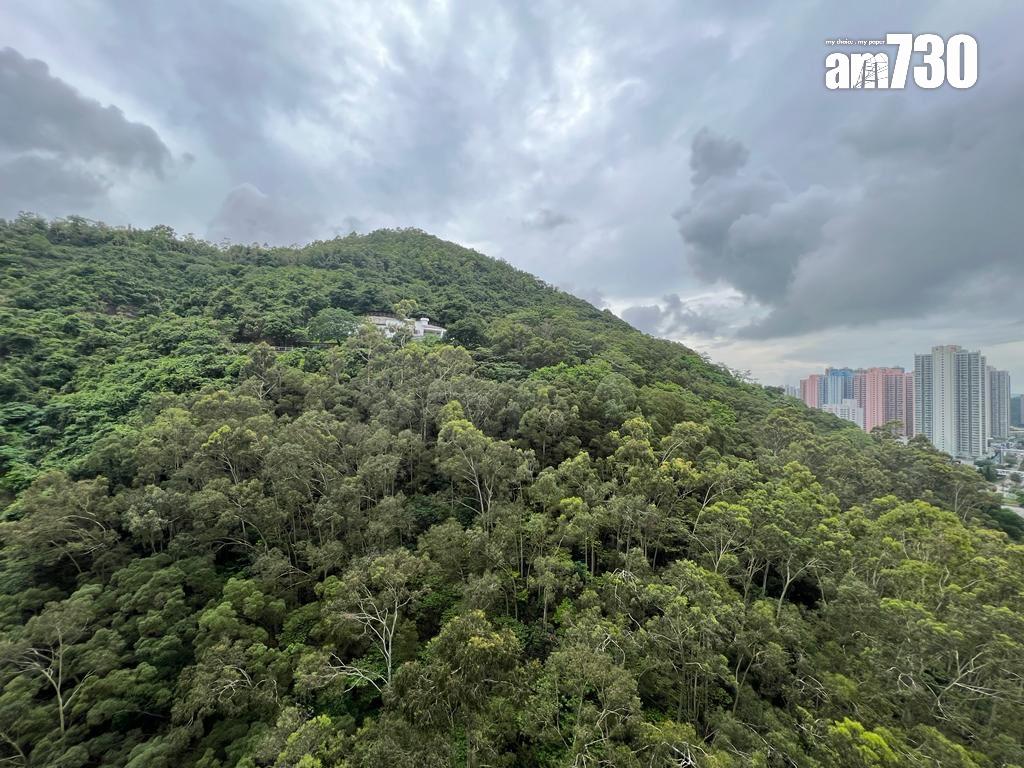 單位直擊|將軍澳新晉居屋兩房移民盤590萬沽 5年大賺逾四成