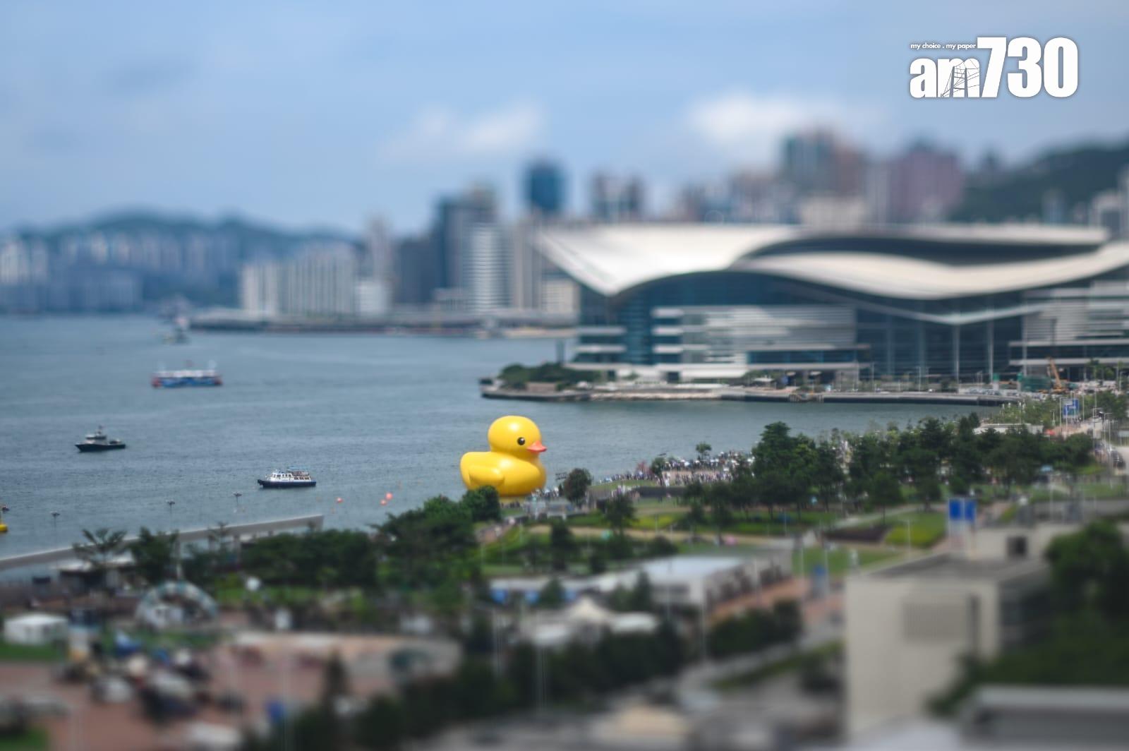 巨型黃鴨在添馬公園對開的維港亮相。