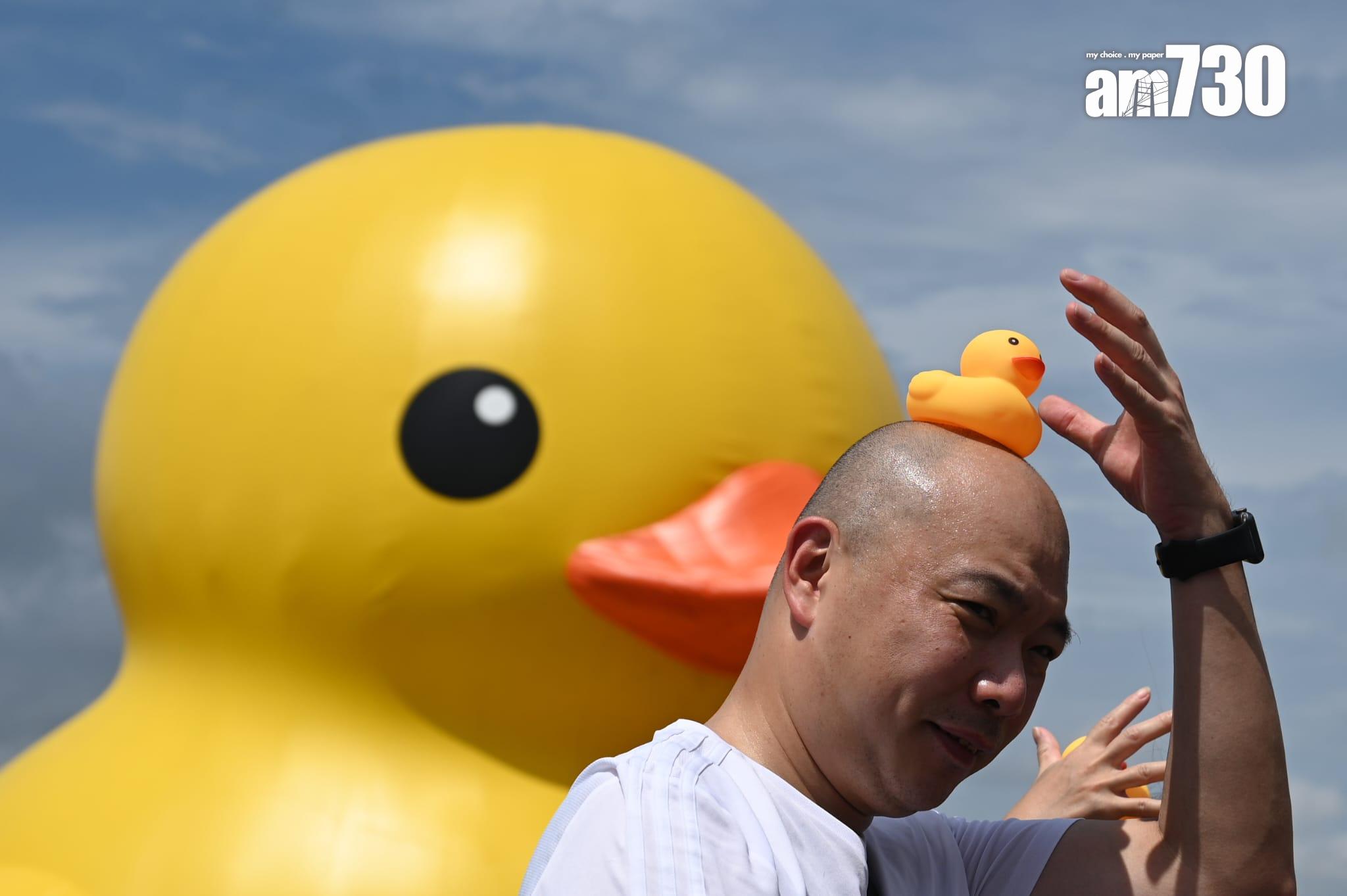 巨型黃鴨在添馬公園對開的維港亮相。