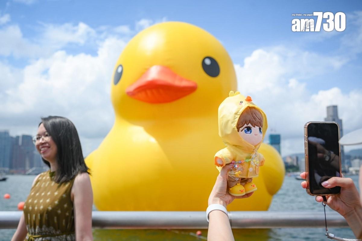 即使維港今日只有「落單」黃鴨,仍無損市民到場欣賞的興致。(李睿哲攝)